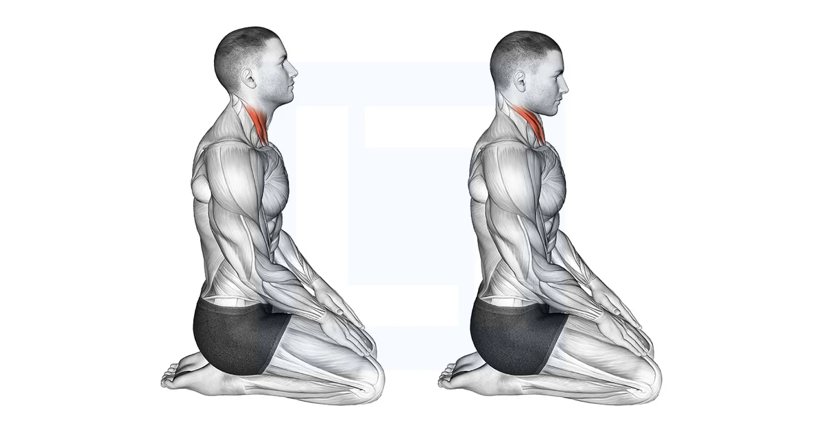 حرکت چین تاک نشسته