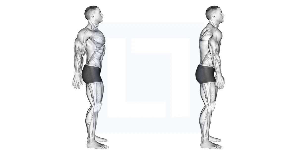 جمع کردن کتف‌ها (Scapular Retraction)