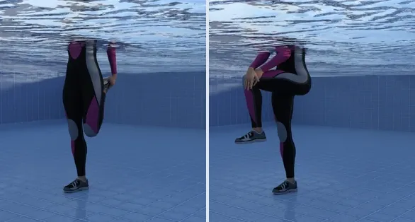 حرکت کشش عضلات نزدیک‌کننده در آب