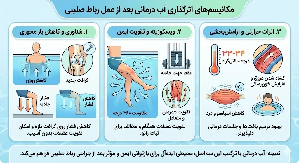 اینفوگرافیک اثرگذاری آب درمانی بعد از عمل رباط صلیبی